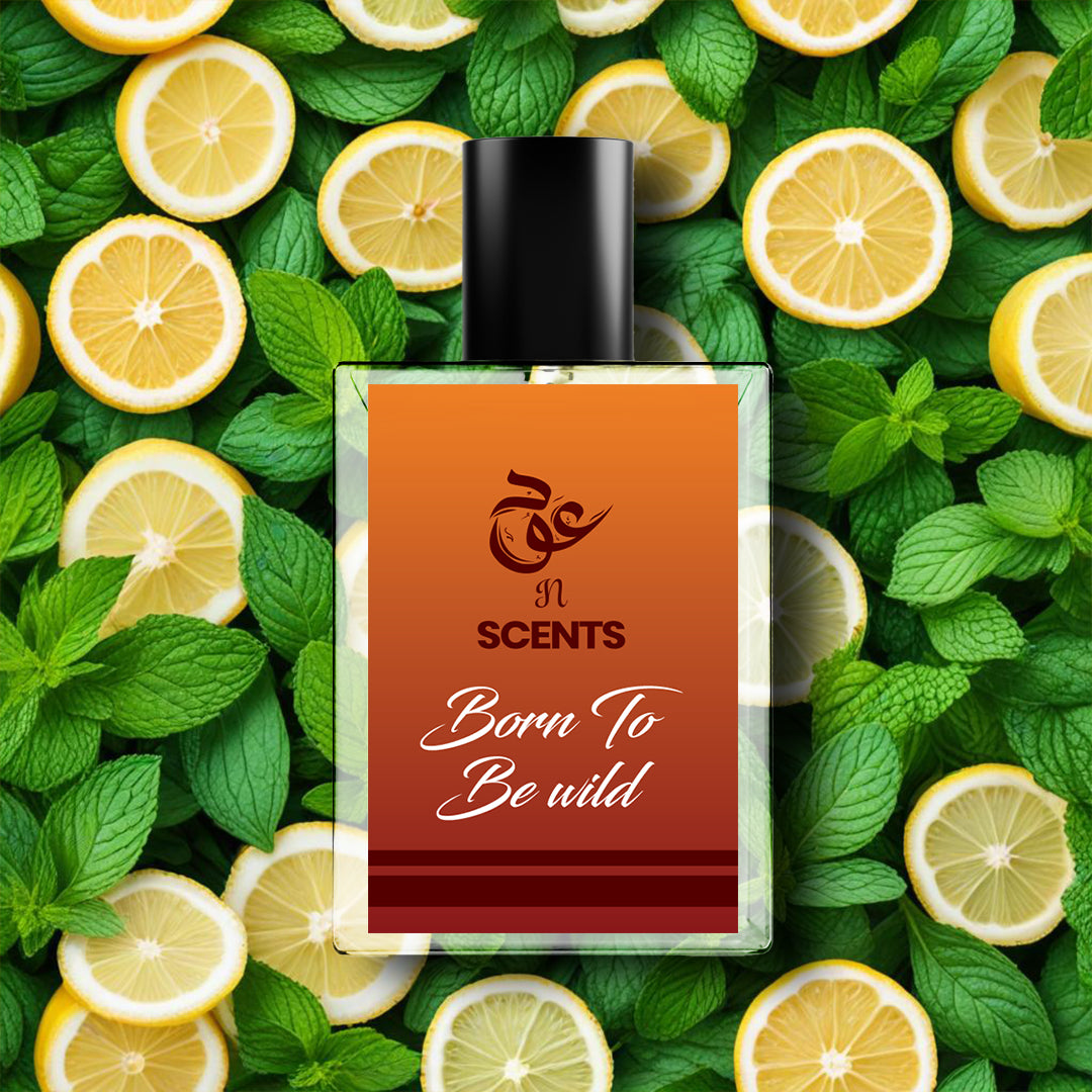 Born To Be Wild — No Rules. Just You