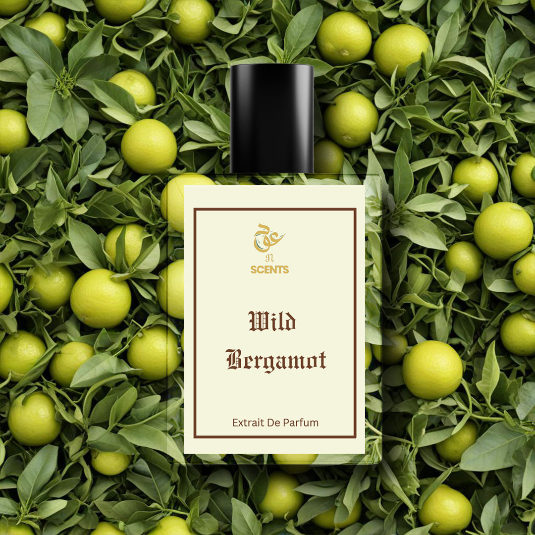 Wild Bergamot - Impression of Dior Sauvage